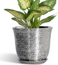5.6 Inch Plant Pot by SUNPOTFOR