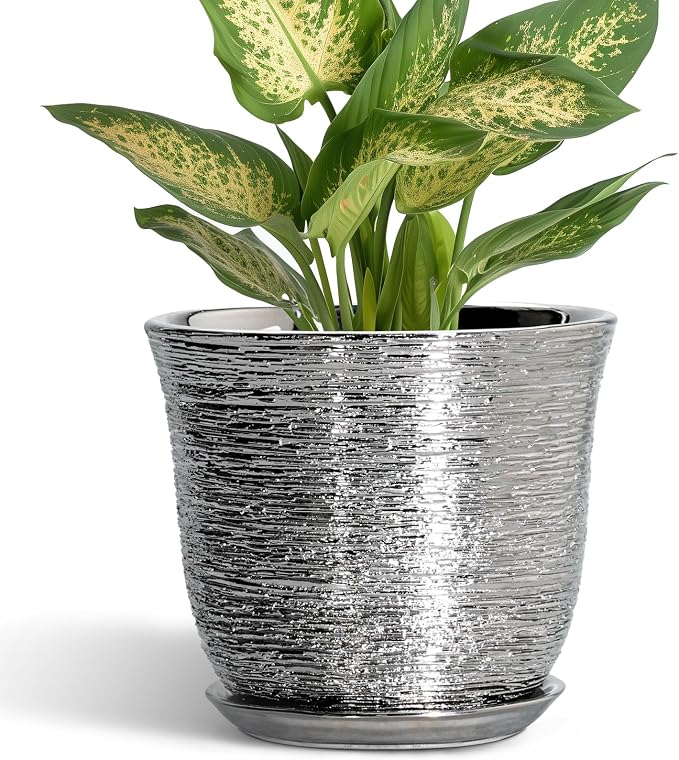 5.6 Inch Plant Pot by SUNPOTFOR