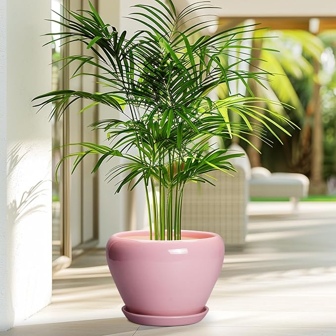 Ceramicfor Ceramic Modern Glaze Succulent Planter Pot - Image 4