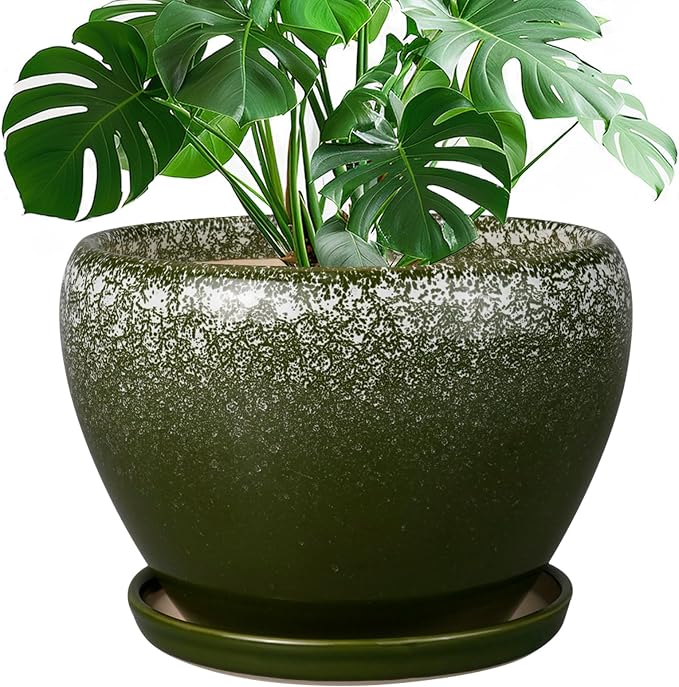 Ceramicfor 10 Inch Planter Pot by Ceramicfor