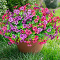 florisso Artificial Flowers for Outdoors Daisy 12 Bundles for Home Decor | Faux by florisso
