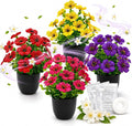 Der Rose 4 Pack Fake Flowers by DerRose