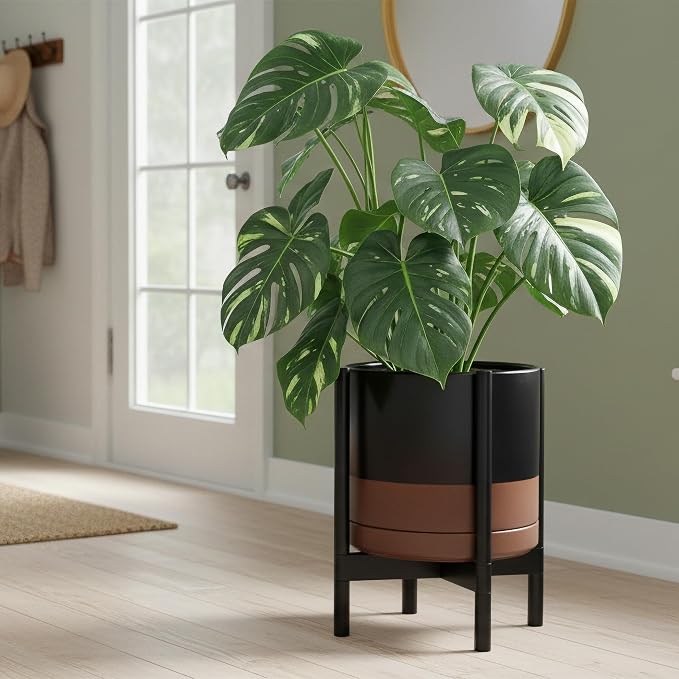 D'vine Dev Ceramic Pot with Ebony Wood Stand, 14 in, 55-B-S-7 | Mid-Century - Image 4