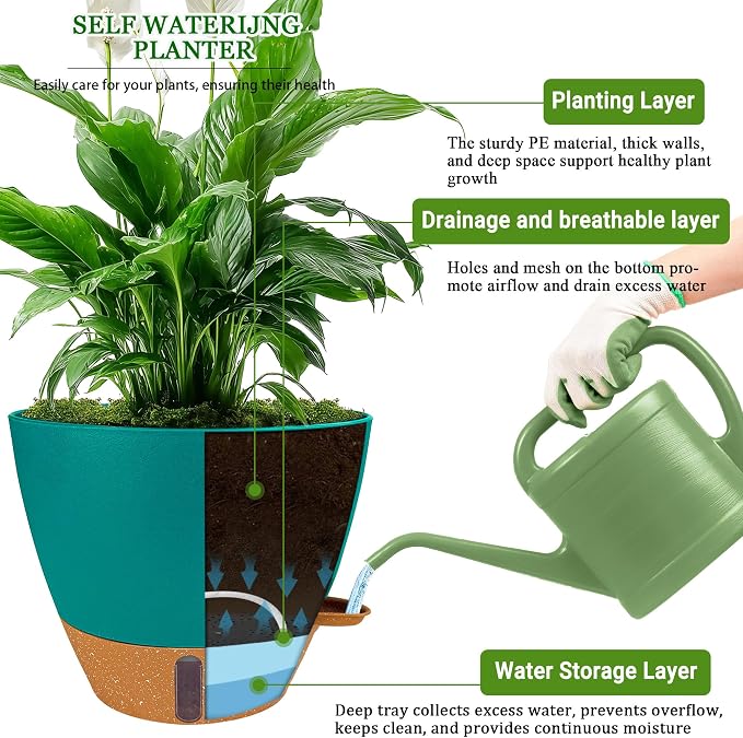 8/10/12 Inch Self Watering Pots - Image 3