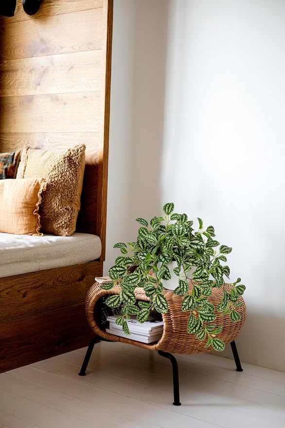 Briful Faux Plant Indoor, 17.7" Artificial Watermelon Peperomia Trailing Plant - Image 5