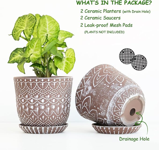 Gepege Ceramic Plant Pots, 6 Inch Indoor Planters - Image 3