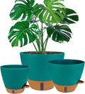 8/10/12 Inch Self Watering Pots by Fielda