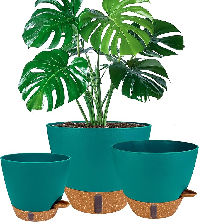 8/10/12 Inch Self Watering Pots by Fielda