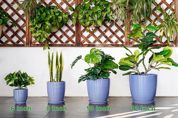 6 Inch Ceramic Pots for Plants - Image 8