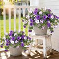 Ammyoo 4 Pcs Artificial Fake Petunia Flowers by Ammyoo