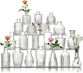 Glass Bud Vase Set of 20 by Ulodimi