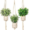 Artificial Plants 3 Pack Mini Fake Hanging by SHOHAYTO