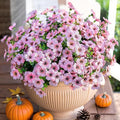 Artificial Flowers for Outdoor Indoor Garden Home Decoration, Faux Flower Daisy by HyeFloraartificialflowers
