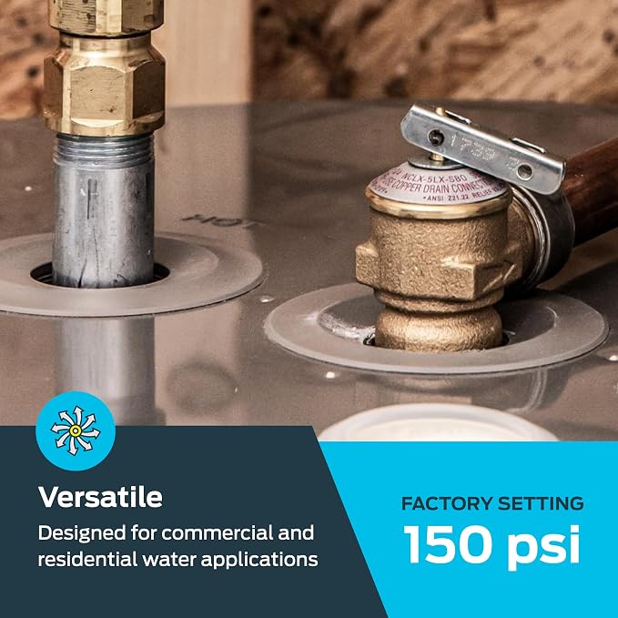 Cash Acme 3/4 Inch NCLX-5L Temperature and Pressure Relief Valve, Push to - Image 3