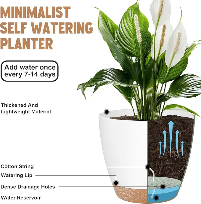QRRICA Plant Pots 8/7/6.5/6/5.5/5 Inch Self Watering Pots, Plastic Flower Pots - Image 4