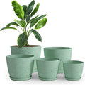 Plant Pots Indoor with Drainage 5 Pack Multi-Size Planters Set Spotty Mint | by UTOPIAHOME