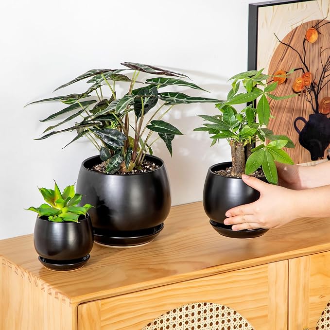 vancasso 3-Pack Ceramic Plant Pots, 3.7/4.8/6.2 Inch Indoor Planters - Image 5
