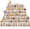 Glass Bud Vases Set of 64 by Unknown