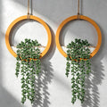 Boho Wall Decor, Indoor Hanging Planter Greenery Decor, Faux Succulent Wall by FloweroyalCrafts