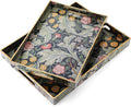 2 Pcs Serving Trays with Handles, Plastic Tray by Acellegic
