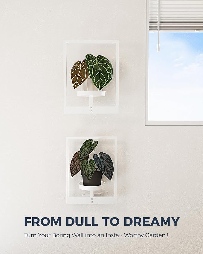 Bamworld Wall Plant Holder Plant Stand Indoor Wall Planters White | Wall - Image 2