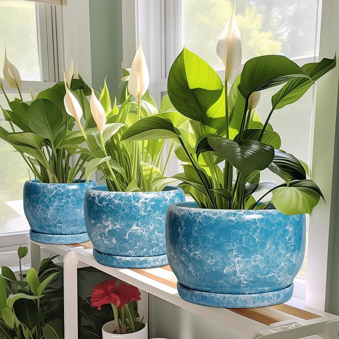 SQOWL Ceramic Pots for Plants - Image 6