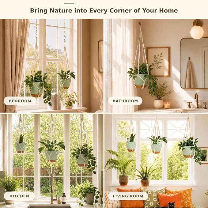 Bouqlife Self Watering Hanging Planters - Image 3