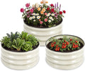 3 PCS Round Raised Garden Bed 2x2x1 ft, Metal Outdoor Planter Box Kit by Tegarbed