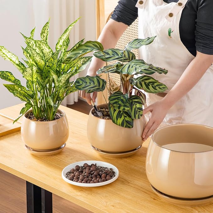 vancasso 3-Pack Ceramic Plant Pots, 7.3/9.6/11.6 Inch Indoor Planters - Image 4
