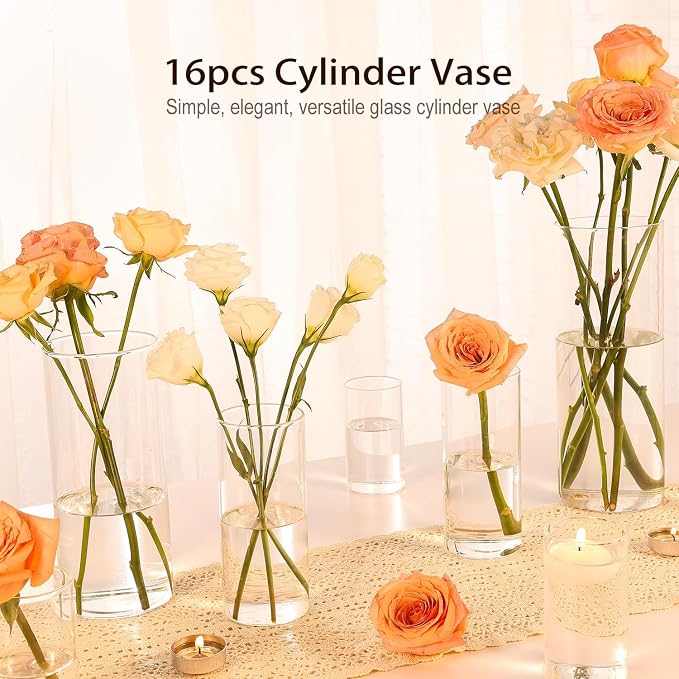 16pcs 4/6/8/10 Inch Clear Glass Cylinder Vases - Image 7