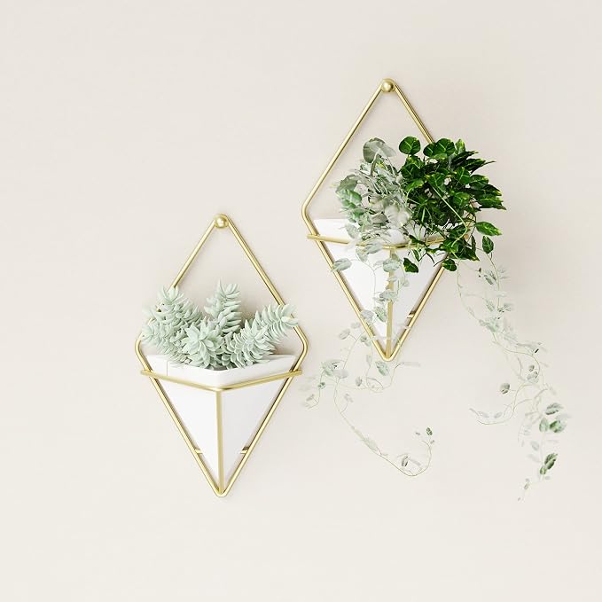 Umbra Trigg Hanging Planter for Small Plants - Image 9
