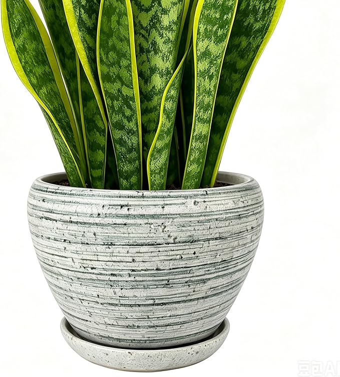 Deep Dream 8 Inch Plant Pots- Ceramic Pots by DeepDream