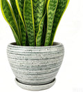 Deep Dream 8 Inch Plant Pots- Ceramic Pots by DeepDream