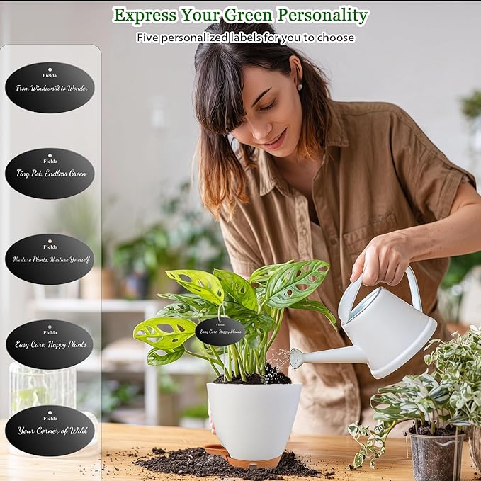 6" Self Watering Pots for Indoor Plants, Drainage Holes & Detachable Trays - Image 3