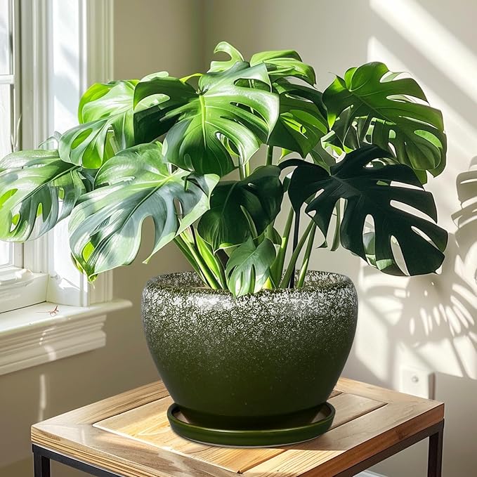Ceramicfor 10 Inch Planter Pot - Image 7