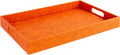 Home Redefined 17.5"x12" Rectangle Orange Faux Leather Decorative Tray | by HomeRedefined