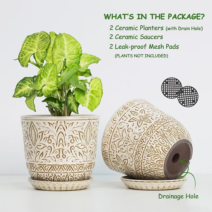 Gepege Ceramic Plant Pots, 6 Inch Indoor Planters - Image 3