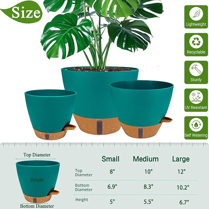 8/10/12 Inch Self Watering Pots - Image 6