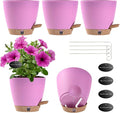 6 Inch Small Self Watering Pots by Fielda