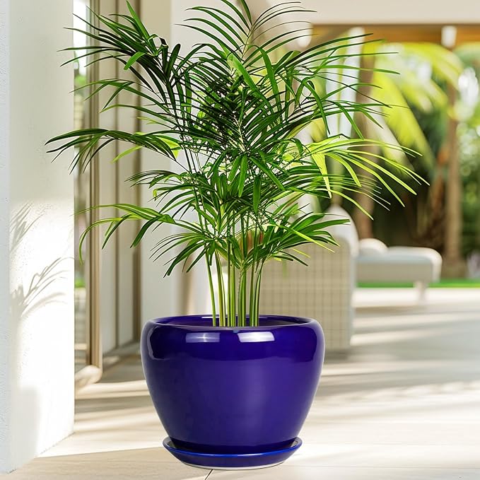 Ceramicfor Ceramic Plant Pot 8 Inch, Planter - Image 5