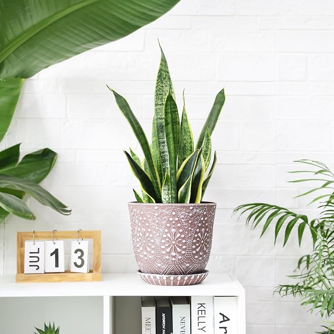Gepege 8 Inch Ceramic Plant Pot - Image 4