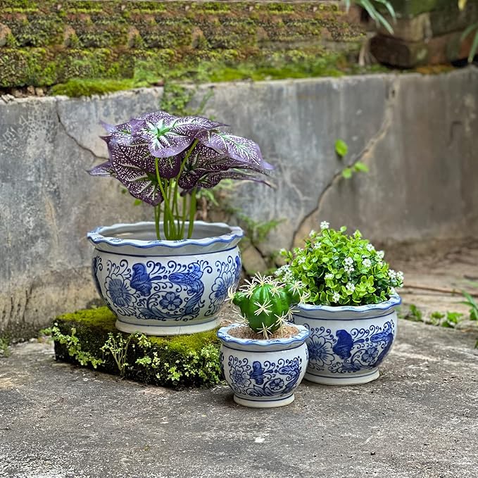 HakkaGirl Blue and White Planters, Succulent Pots Ceramic Plant Pots Indoor - Image 5