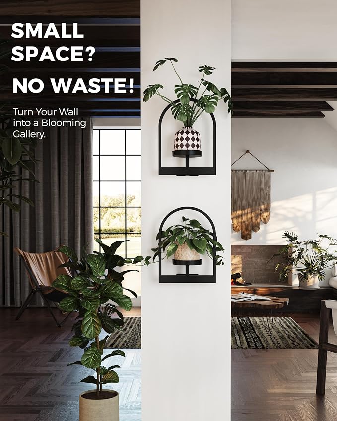 Bamworld Wall Plant Holder Plant Stand Indoor Wall Planters Round | Wall - Image 5