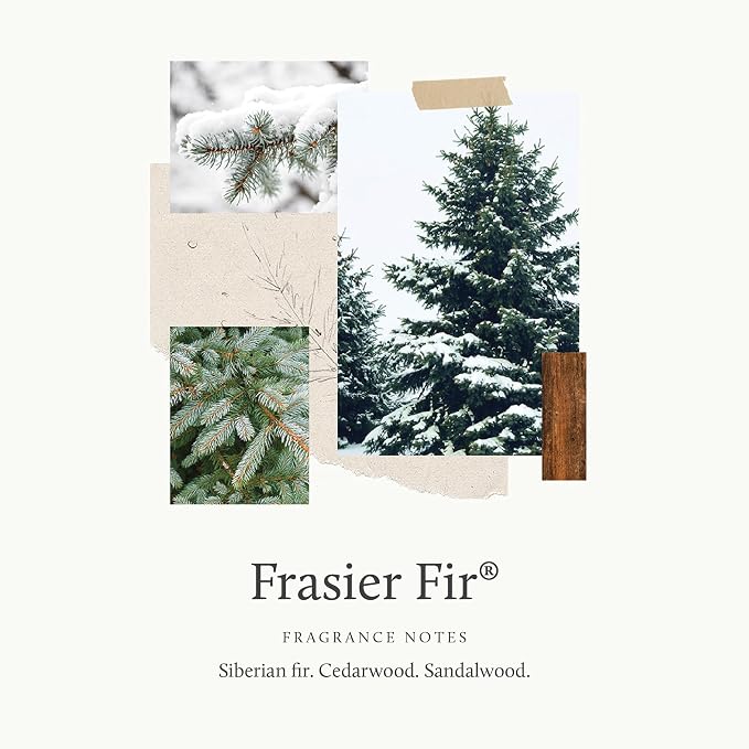 Thymes Frasier Fir Pine Needle Candle – Holiday Candles - Image 3
