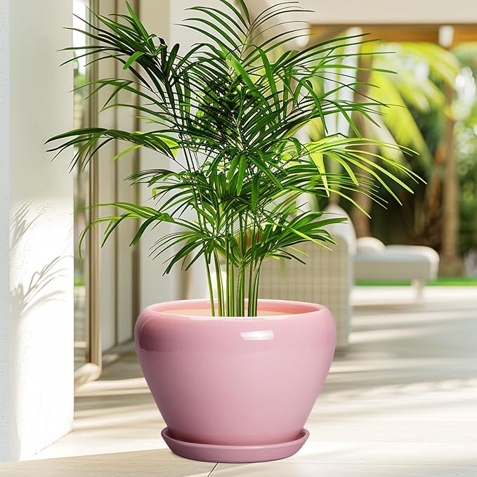 Ceramicfor 10 Inch Plant Pot - Image 4