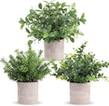 Der Rose 3 Pack Fake Plants Mini Faux Plants by DerRose