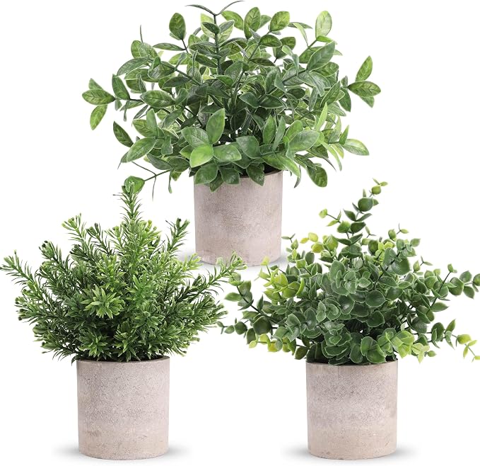 Der Rose 3 Pack Fake Plants Mini Faux Plants by DerRose