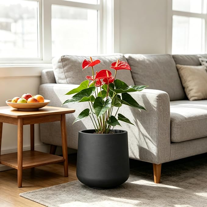 Kante Accent Round Curved Black Concrete Planter 13" Dia, Outdoor | Rubber Plug - Image 4