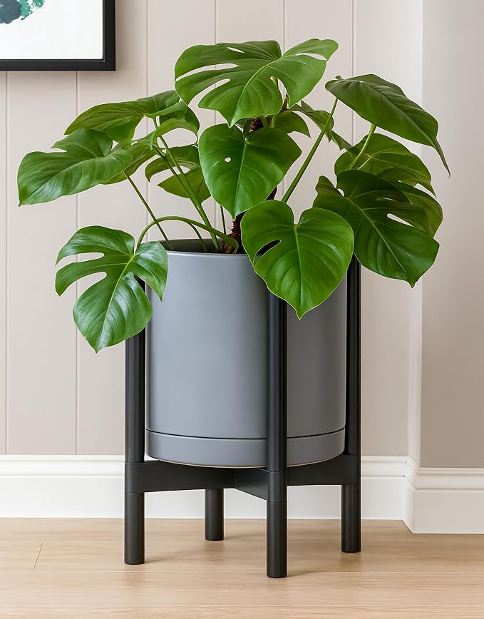 D'vine Dev Ceramic Pot with Ebony Wood Stand, 12 in, 55-B-H-3 | Mid-Century - Image 6