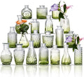 Glass Bud Vase Set of 20 by Ulodimi